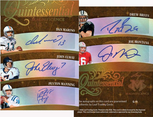 BTC 490 Personal Box Leaf Magnificence Hobby Box